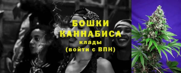 соль ск Горнозаводск