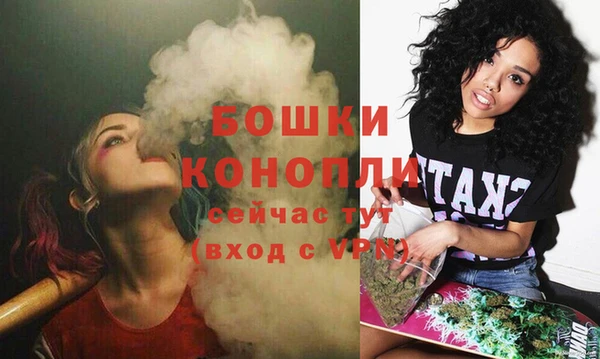 соль ск Горнозаводск