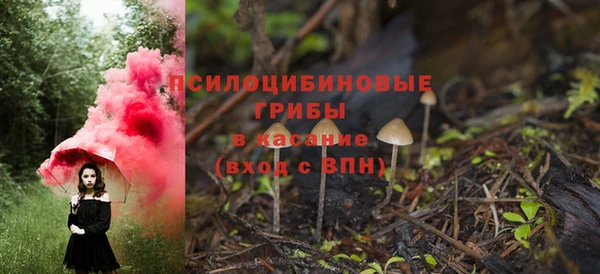 соль ск Горнозаводск