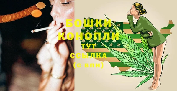 соль ск Горнозаводск