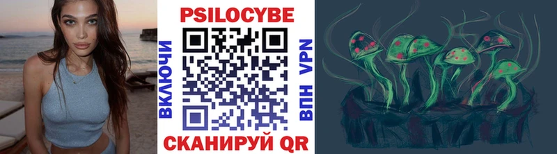 где купить   Магнитогорск  Псилоцибиновые грибы Psilocybe 